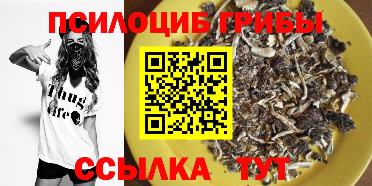 Псилоцибиновые грибы Cubensis Советский