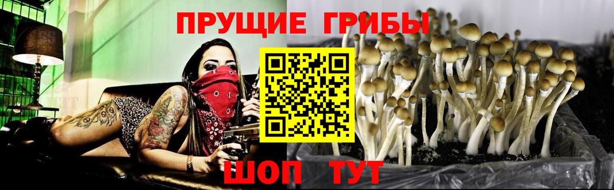 Галлюциногенные грибы ЛСД  Вход с VPN  Советский 